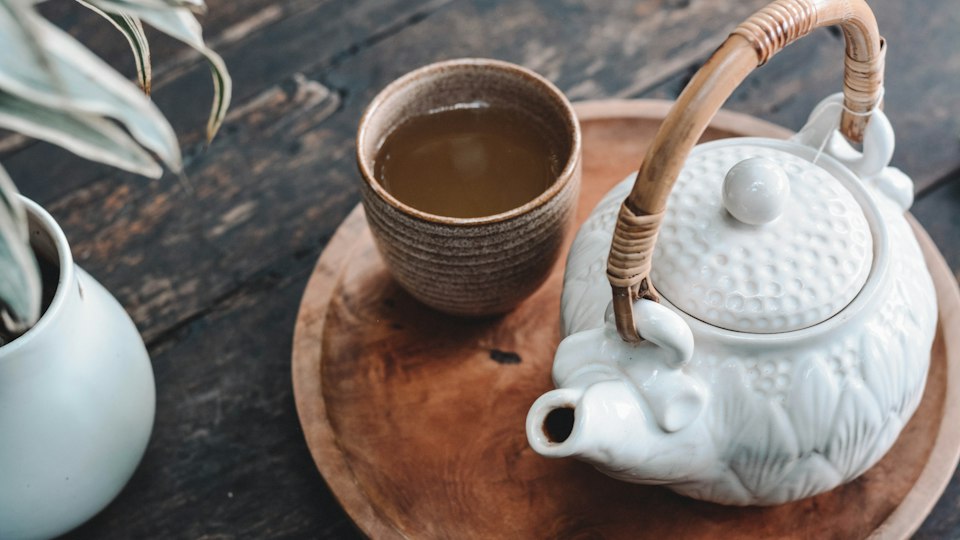 春茶新芽